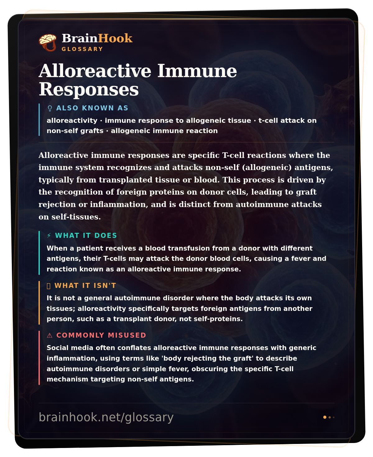 Alloreactive Immune Responses — BrainHook Glossary card