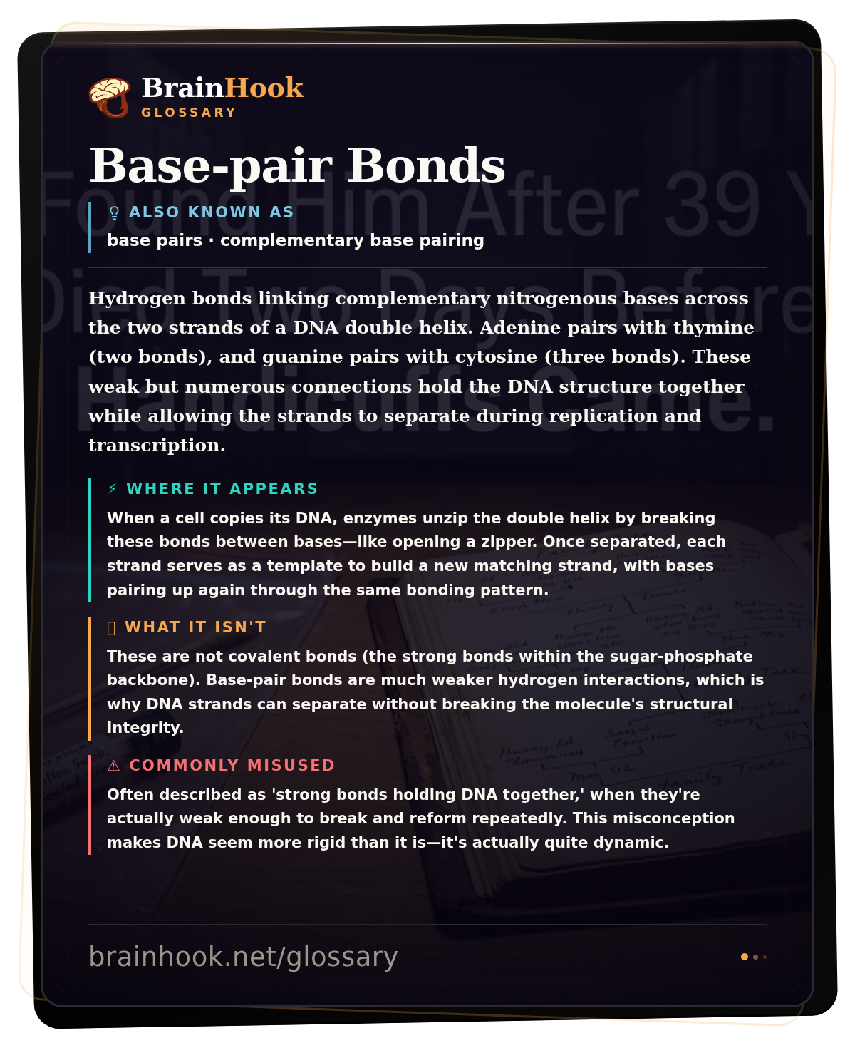 Base-pair Bonds — BrainHook Glossary card