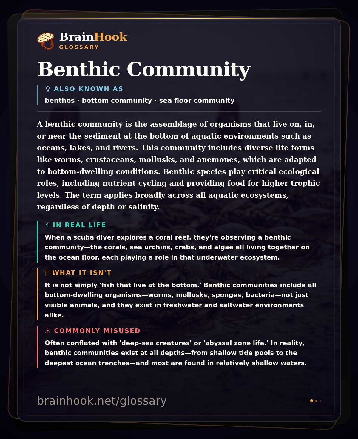Benthic Community — BrainHook Glossary card