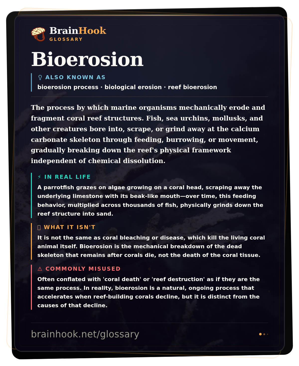 Bioerosion — BrainHook Glossary card