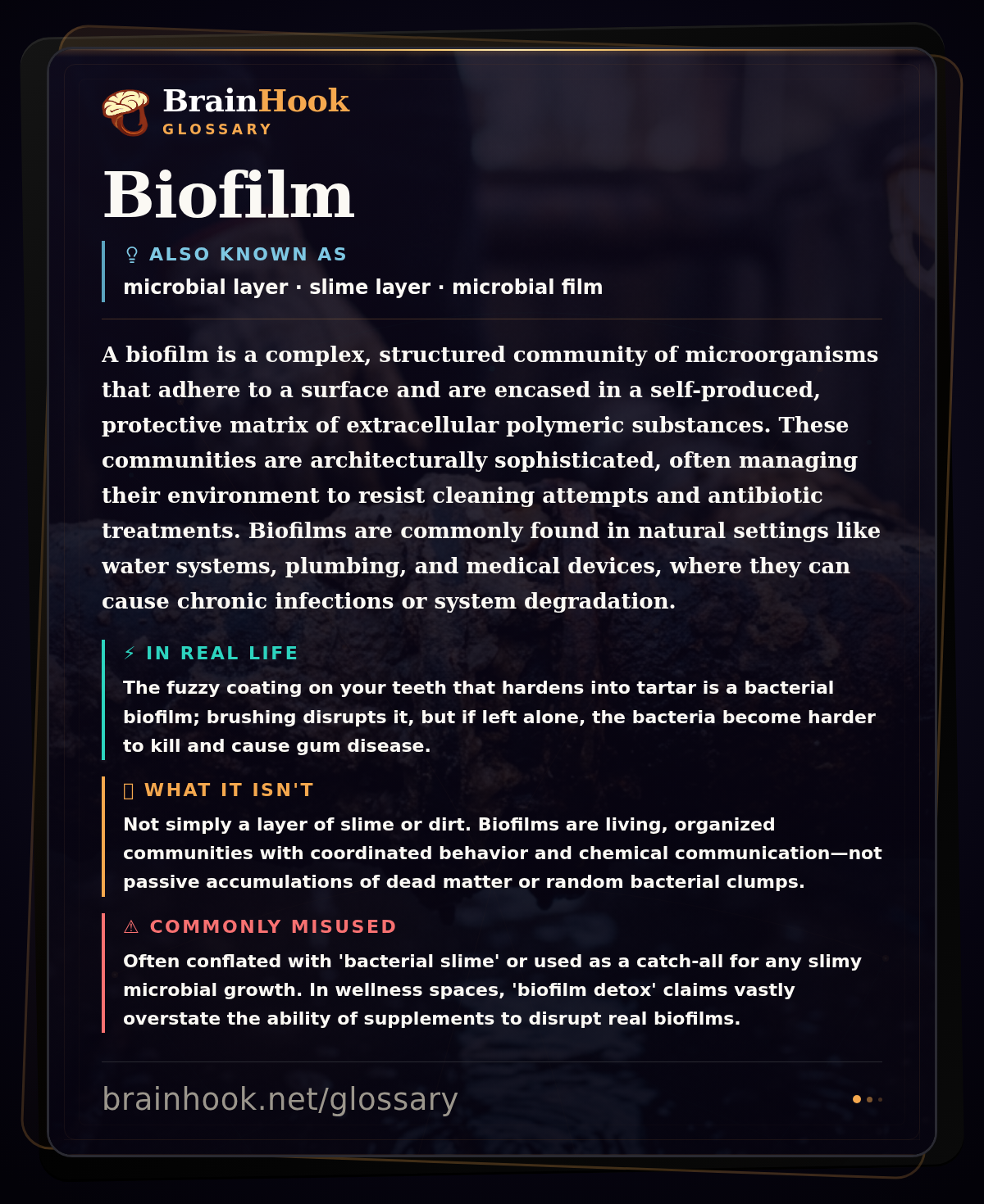 Biofilm — BrainHook Glossary card