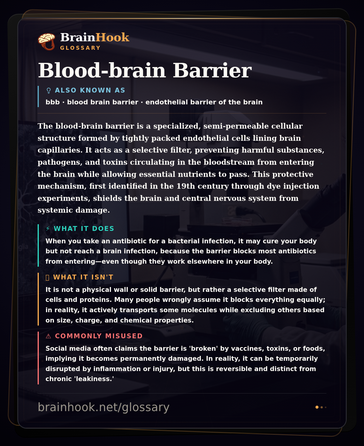 Blood-brain Barrier — BrainHook Glossary card