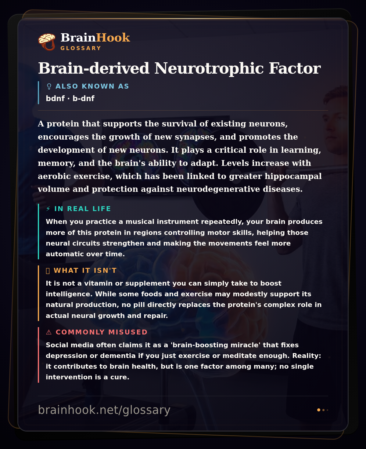 Brain-derived Neurotrophic Factor — BrainHook Glossary card