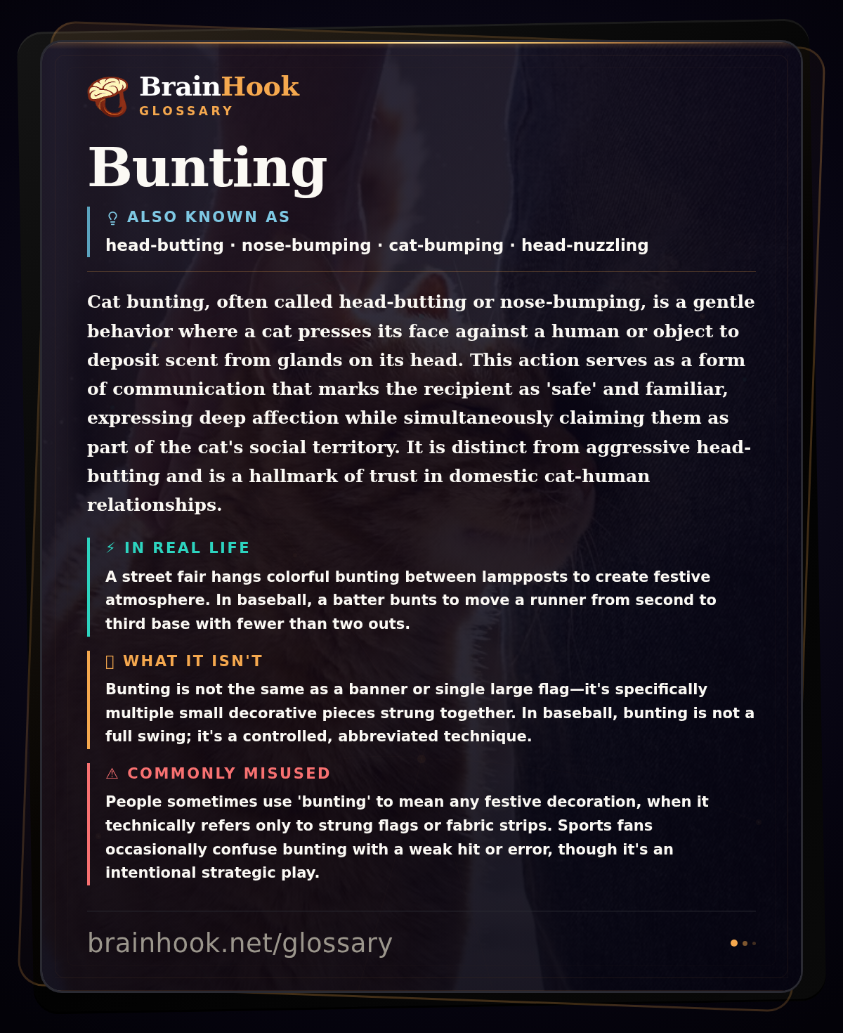 Bunting — BrainHook Glossary card
