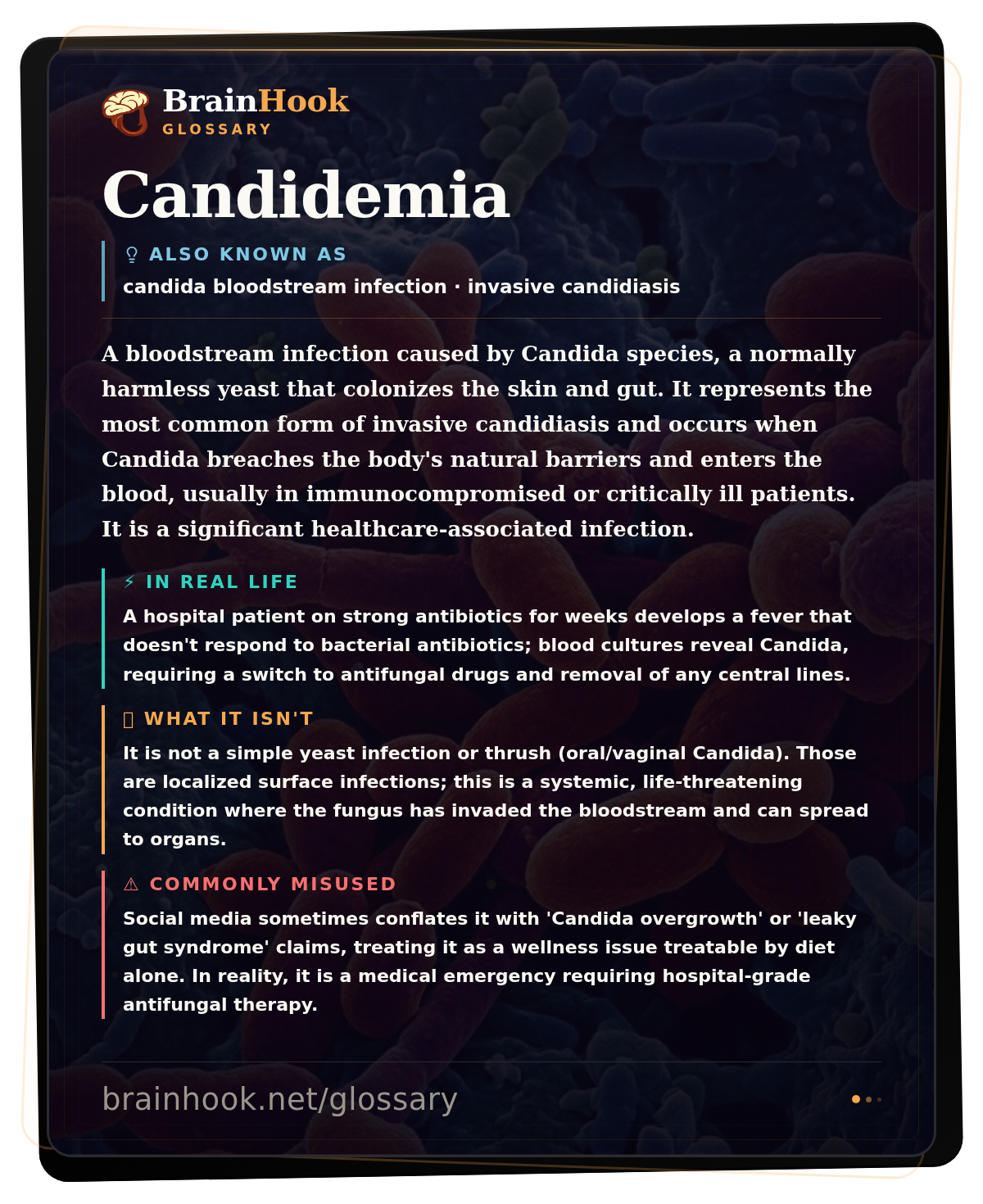 Candidemia — BrainHook Glossary card