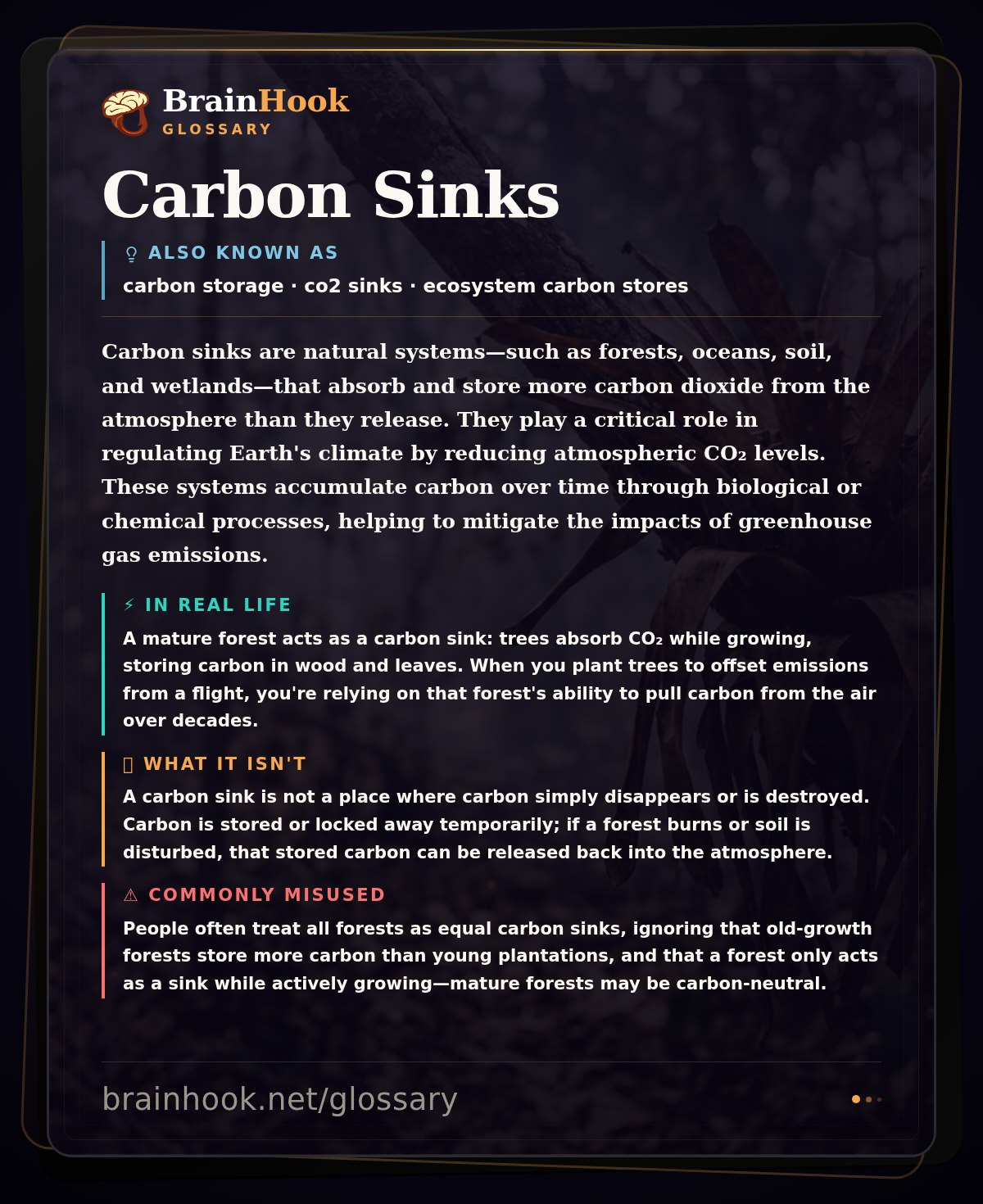 Carbon Sinks — BrainHook Glossary card