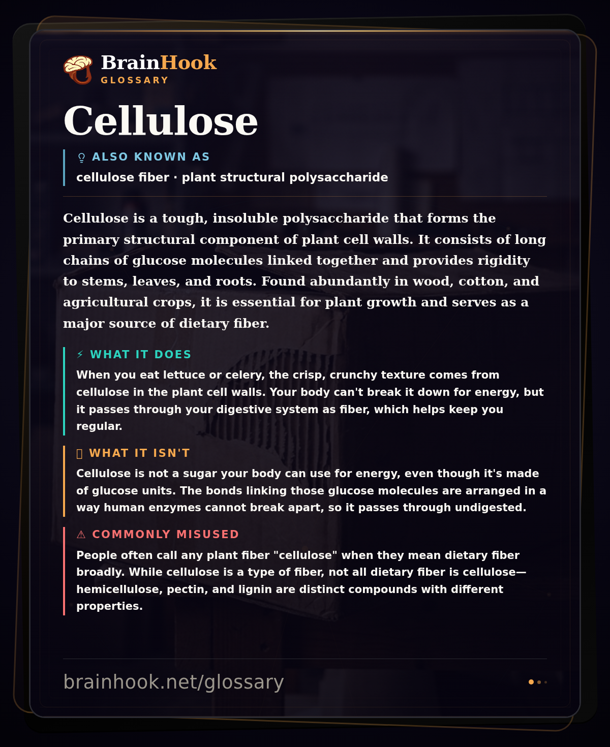 Cellulose — BrainHook Glossary card