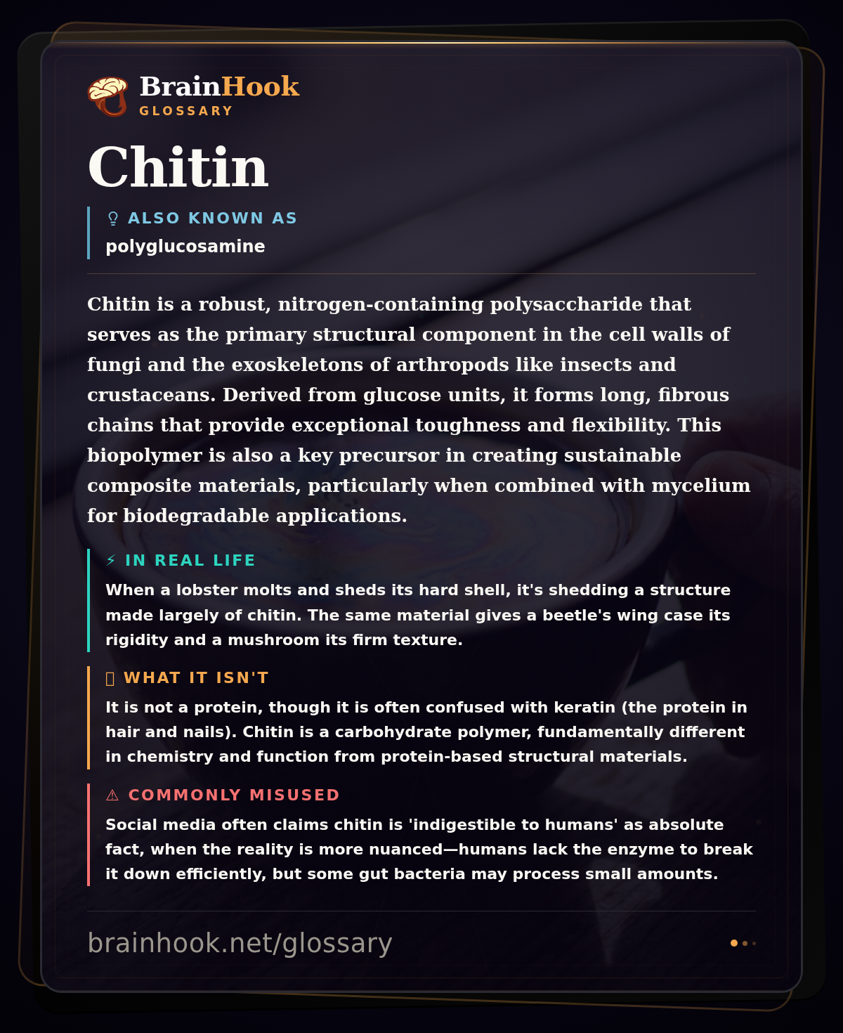 Chitin — BrainHook Glossary card