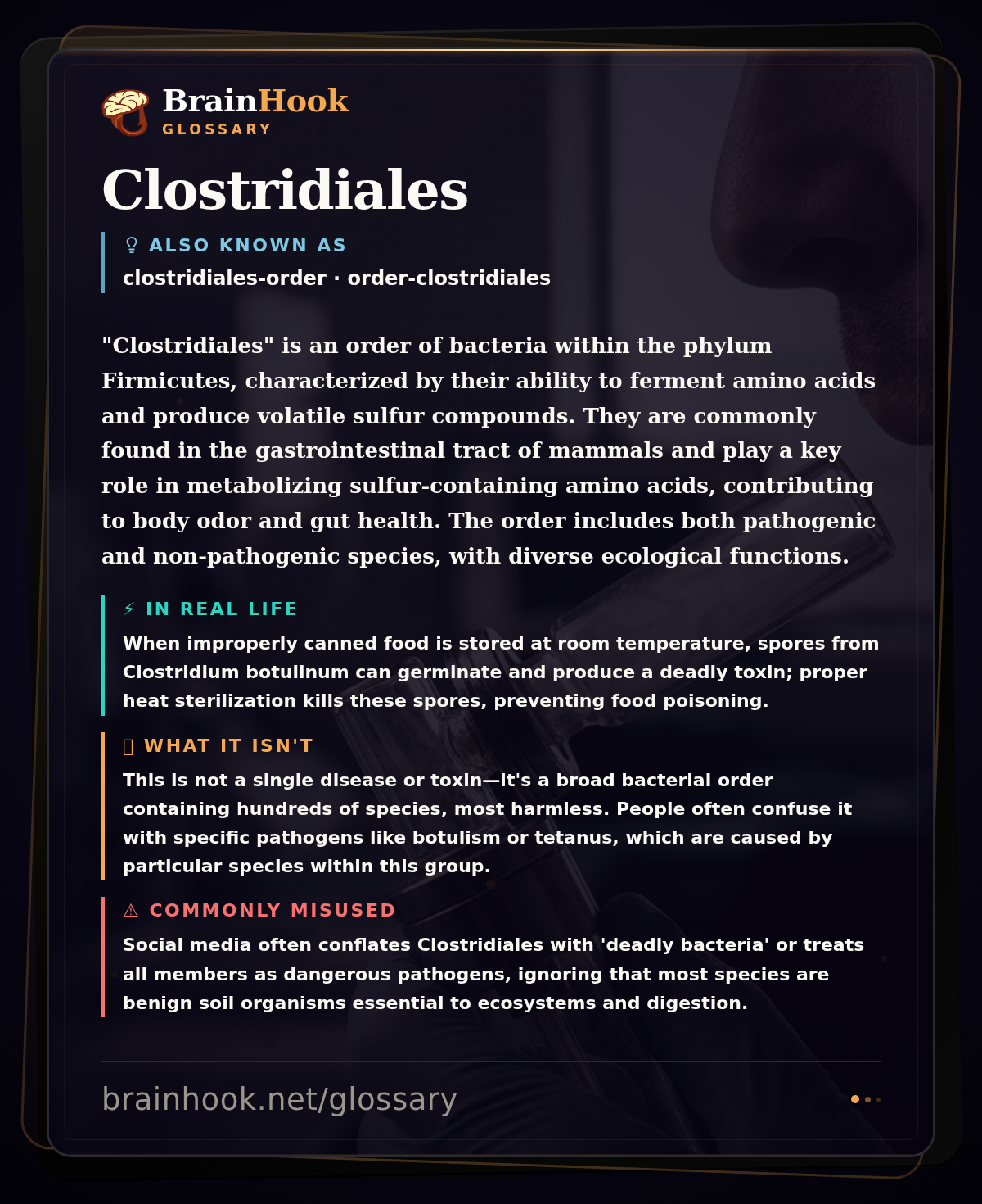 Clostridiales — BrainHook Glossary card