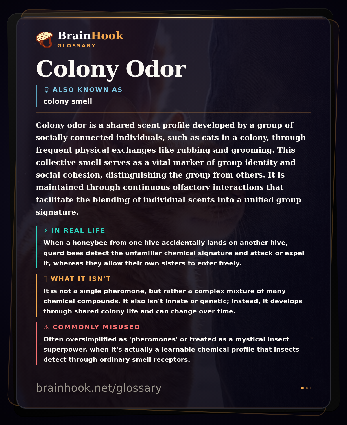 Colony Odor — BrainHook Glossary card