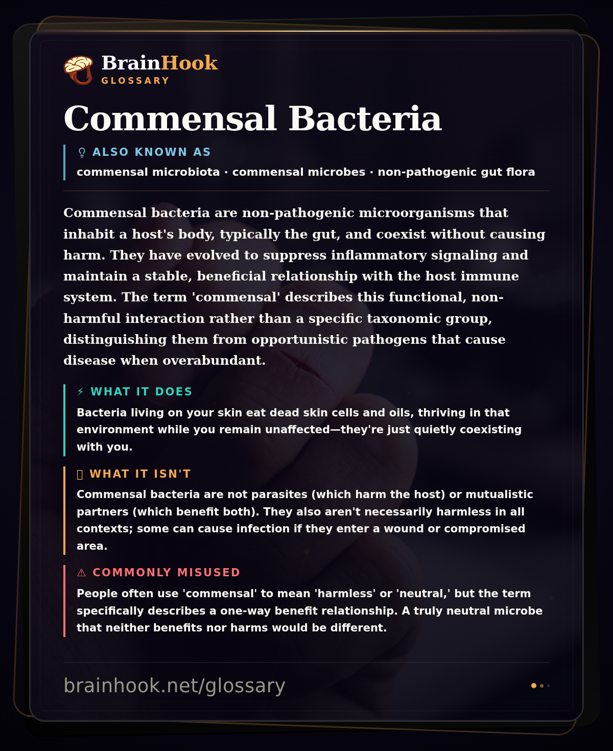 Commensal Bacteria — BrainHook Glossary card