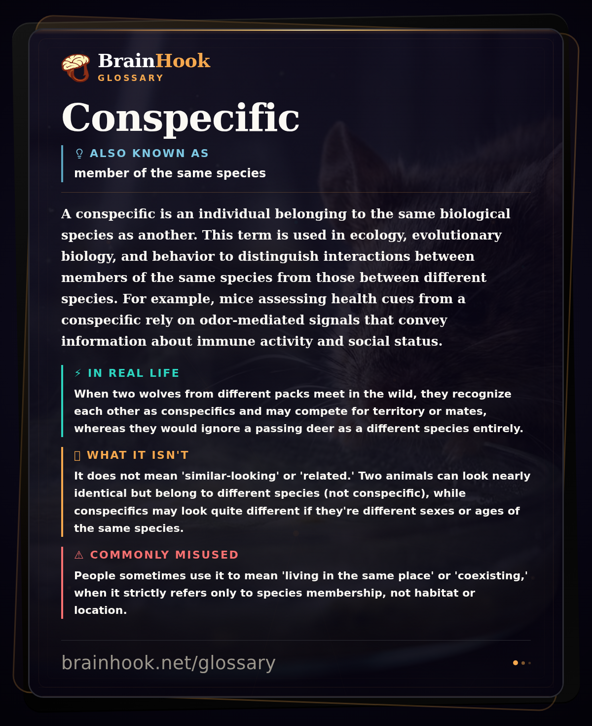 Conspecific — BrainHook Glossary card