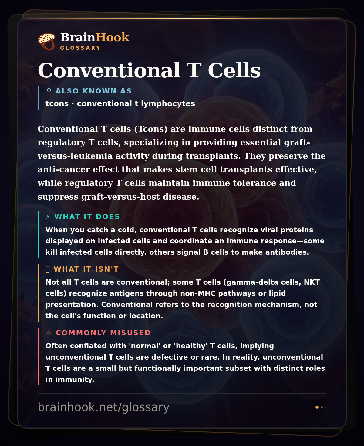 Conventional T Cells — BrainHook Glossary card