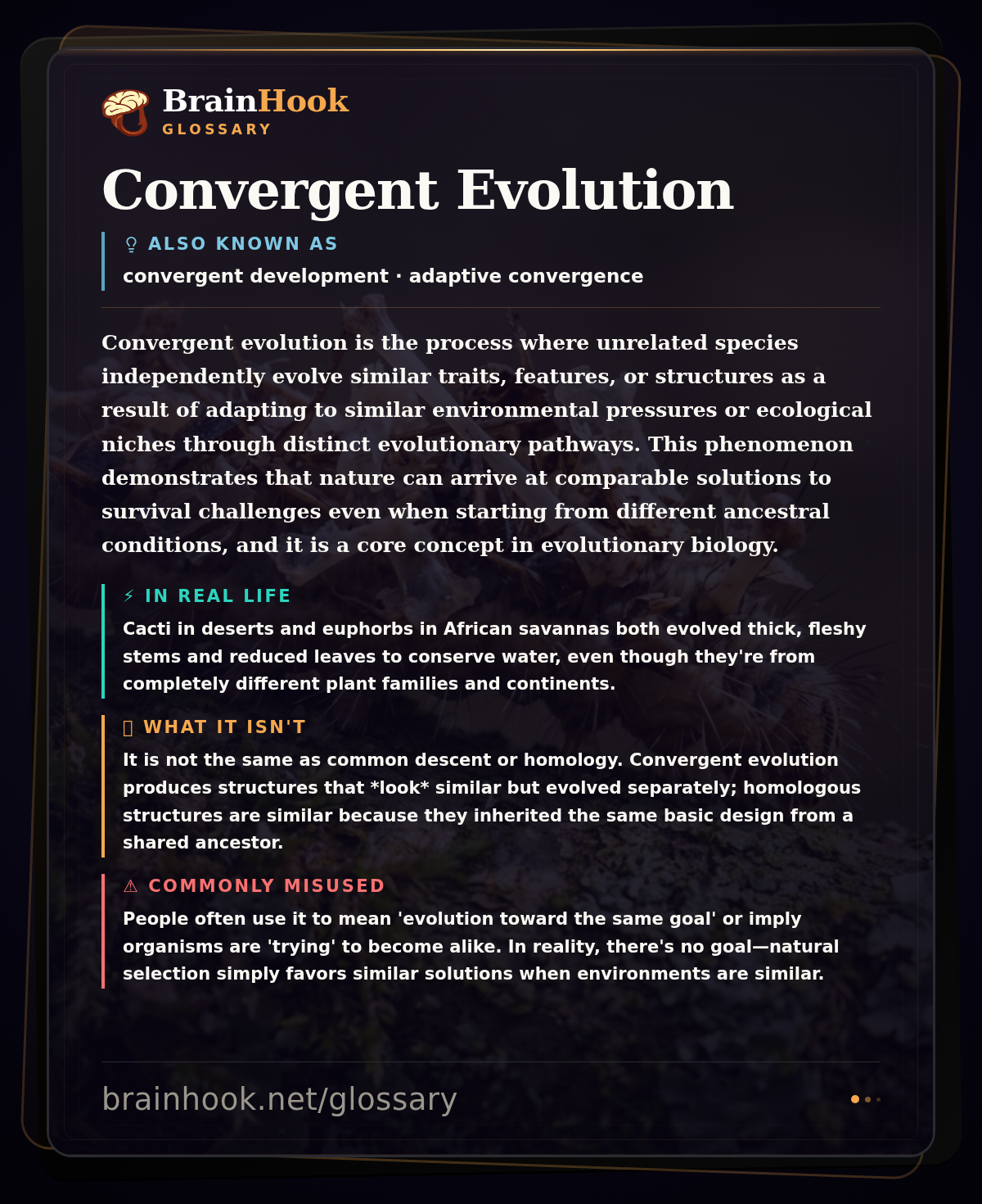 Convergent Evolution — BrainHook Glossary card