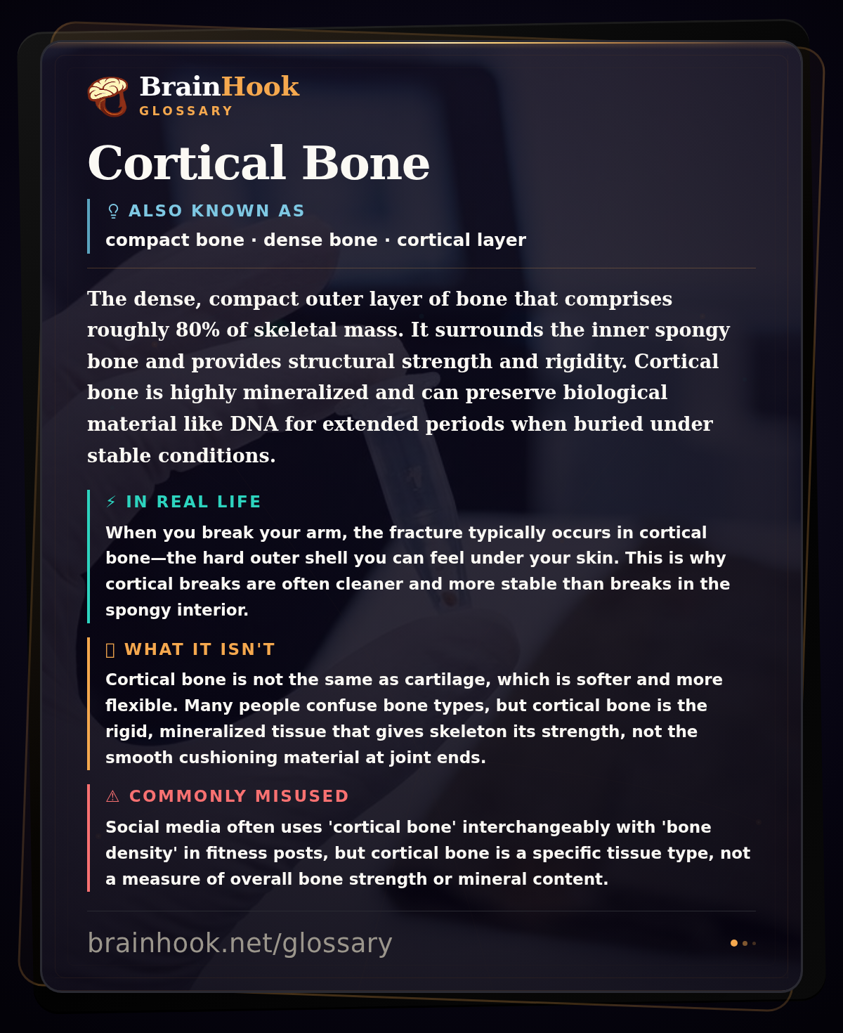 Cortical Bone — BrainHook Glossary card