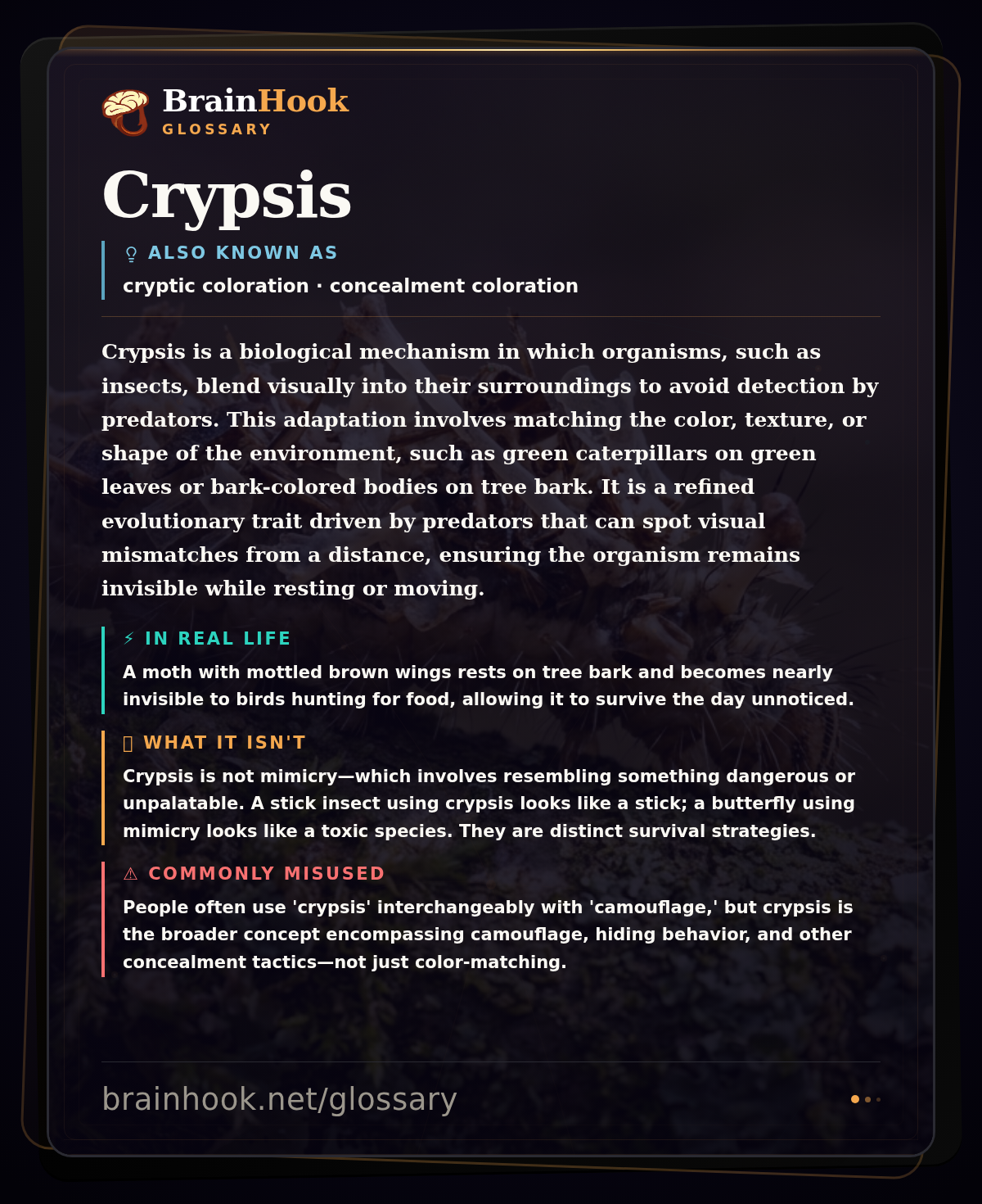 Crypsis — BrainHook Glossary card