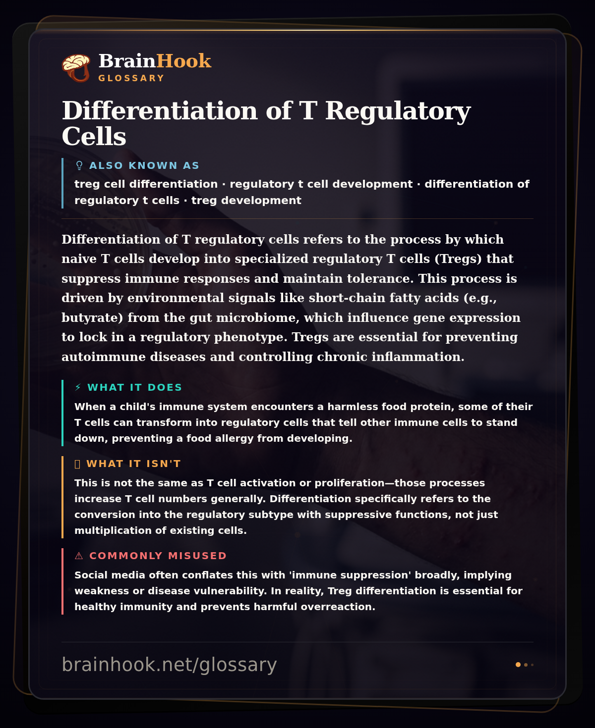 Differentiation of T Regulatory Cells — BrainHook Glossary card