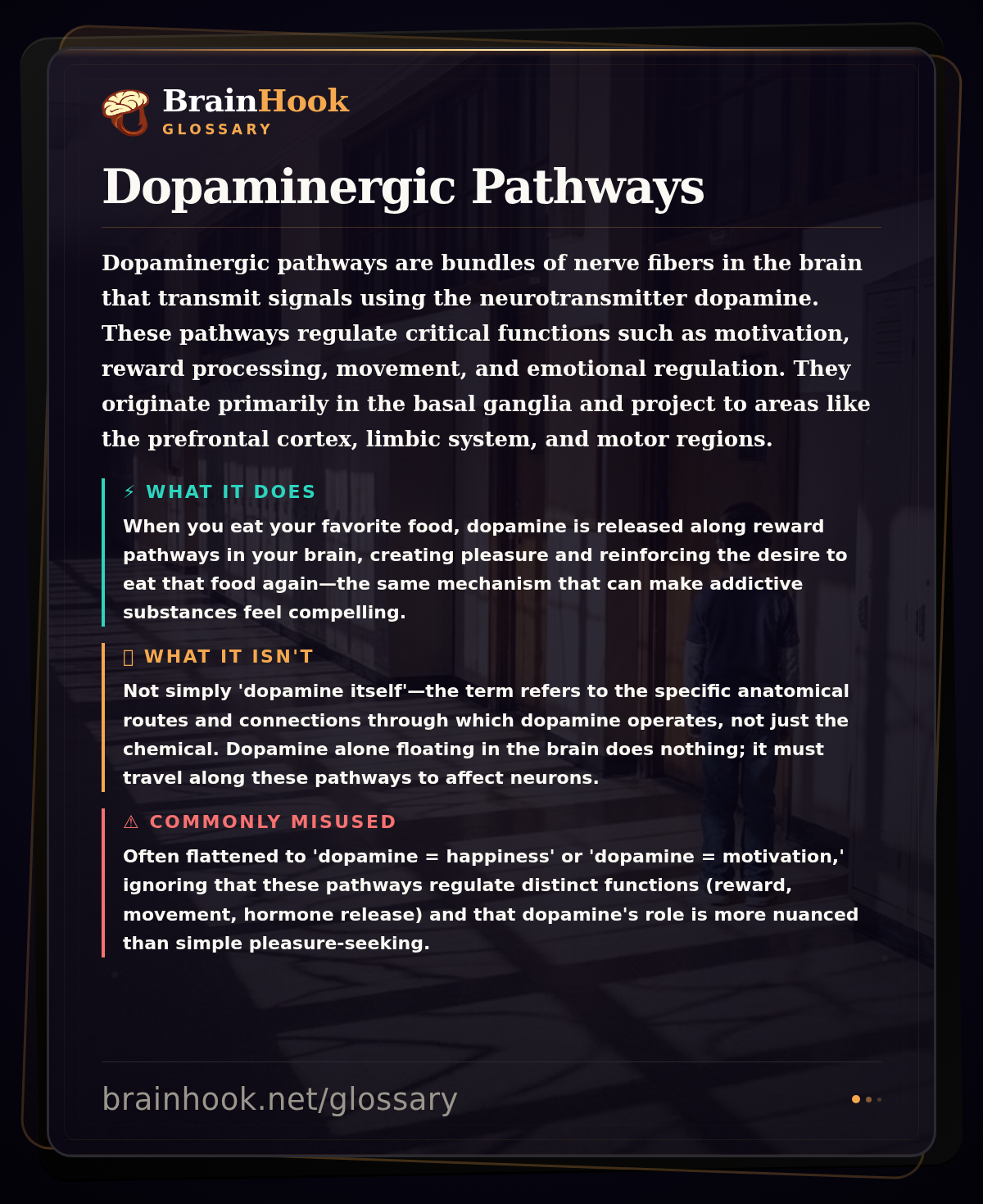 Dopaminergic Pathways — BrainHook Glossary card