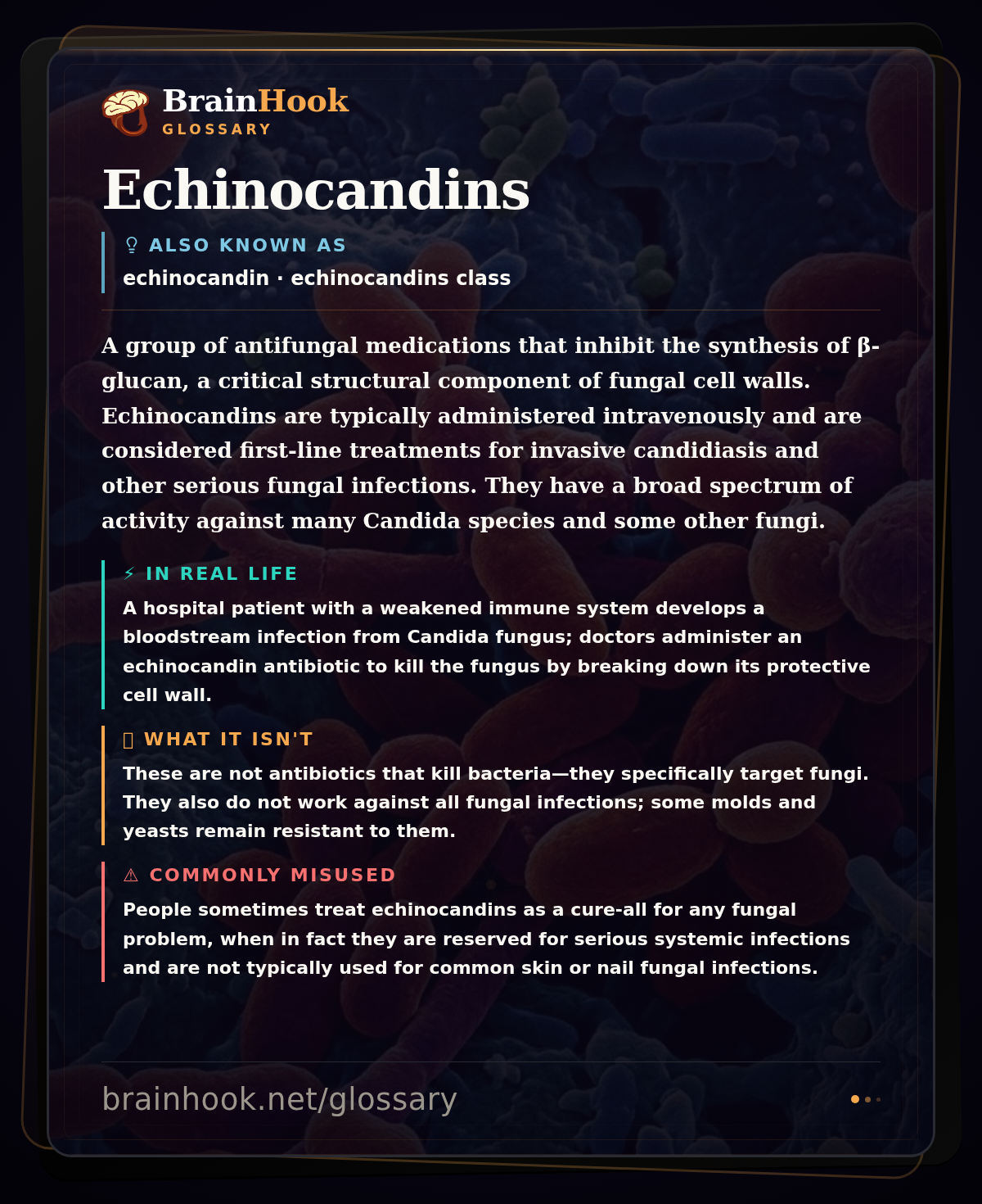 Echinocandins — BrainHook Glossary card
