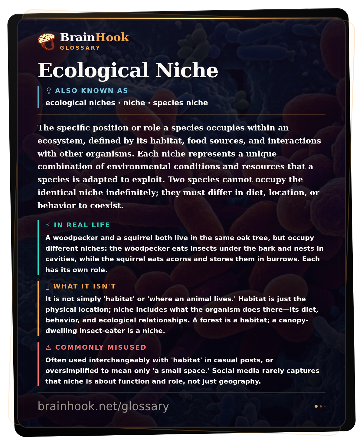 Ecological Niche — BrainHook Glossary card