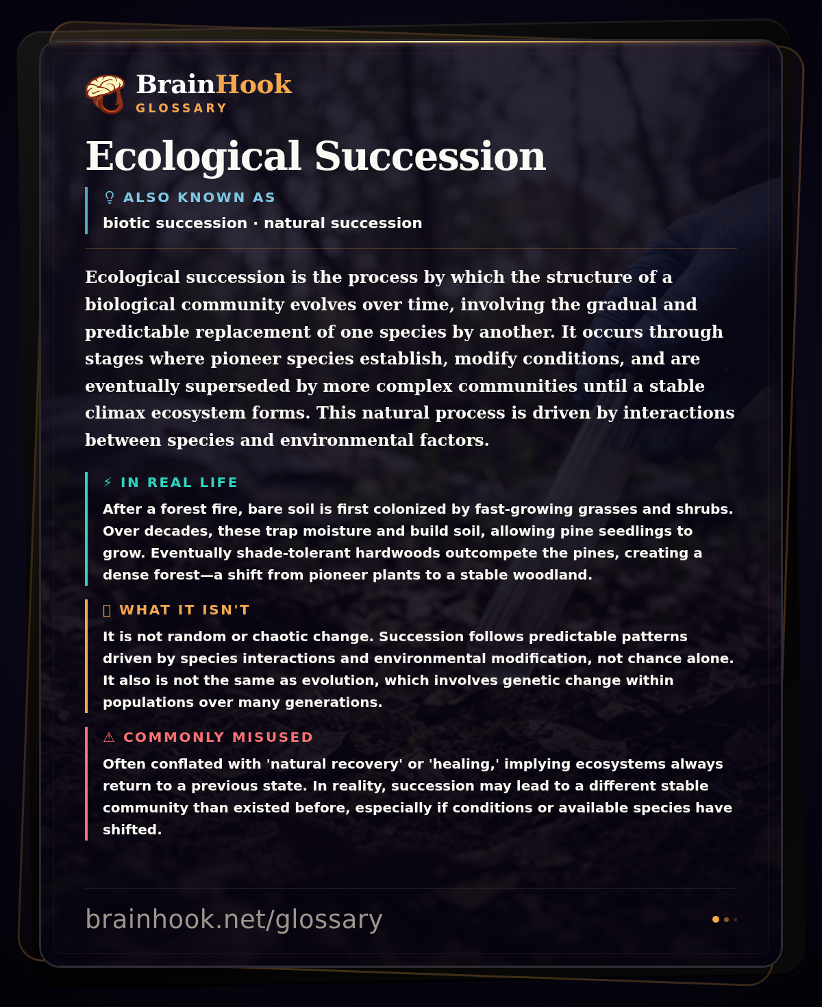 Ecological Succession — BrainHook Glossary card