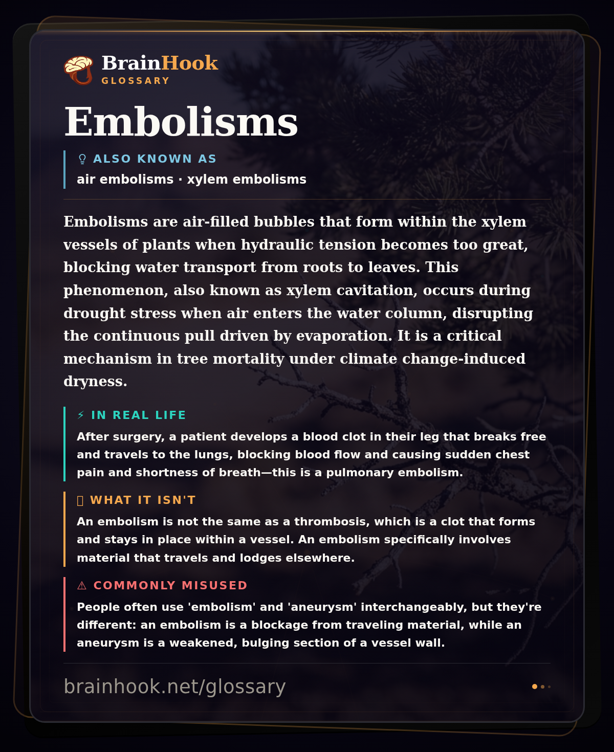 Embolisms — BrainHook Glossary card