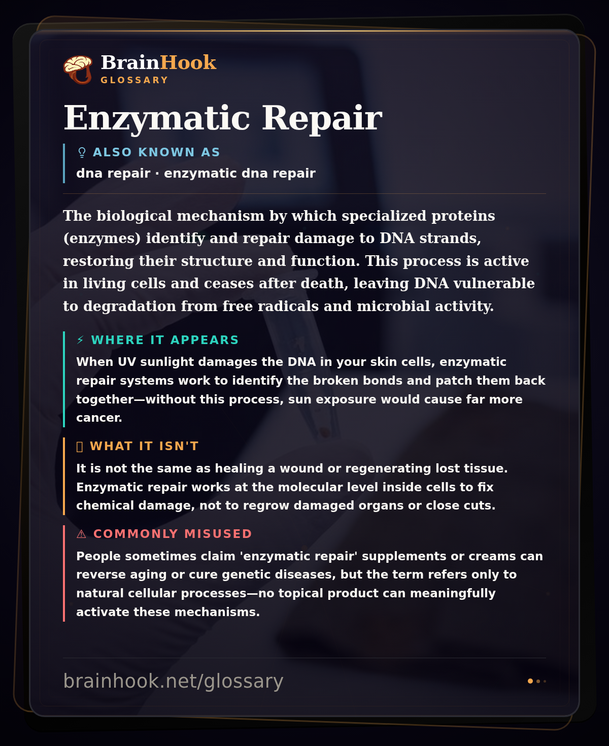 Enzymatic Repair — BrainHook Glossary card