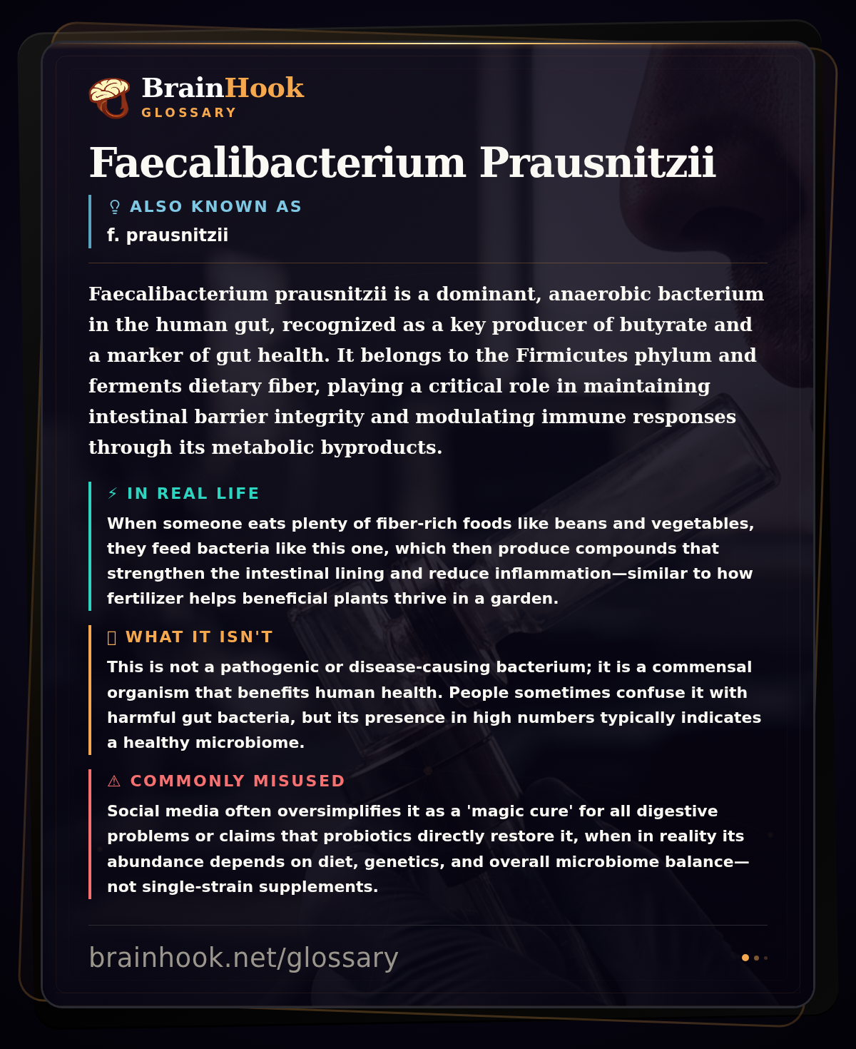 Faecalibacterium Prausnitzii — BrainHook Glossary card