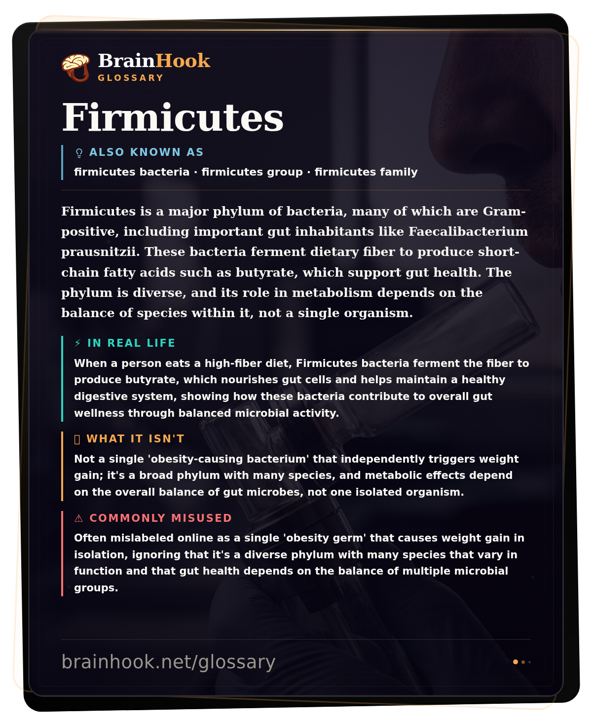 Firmicutes — BrainHook Glossary card