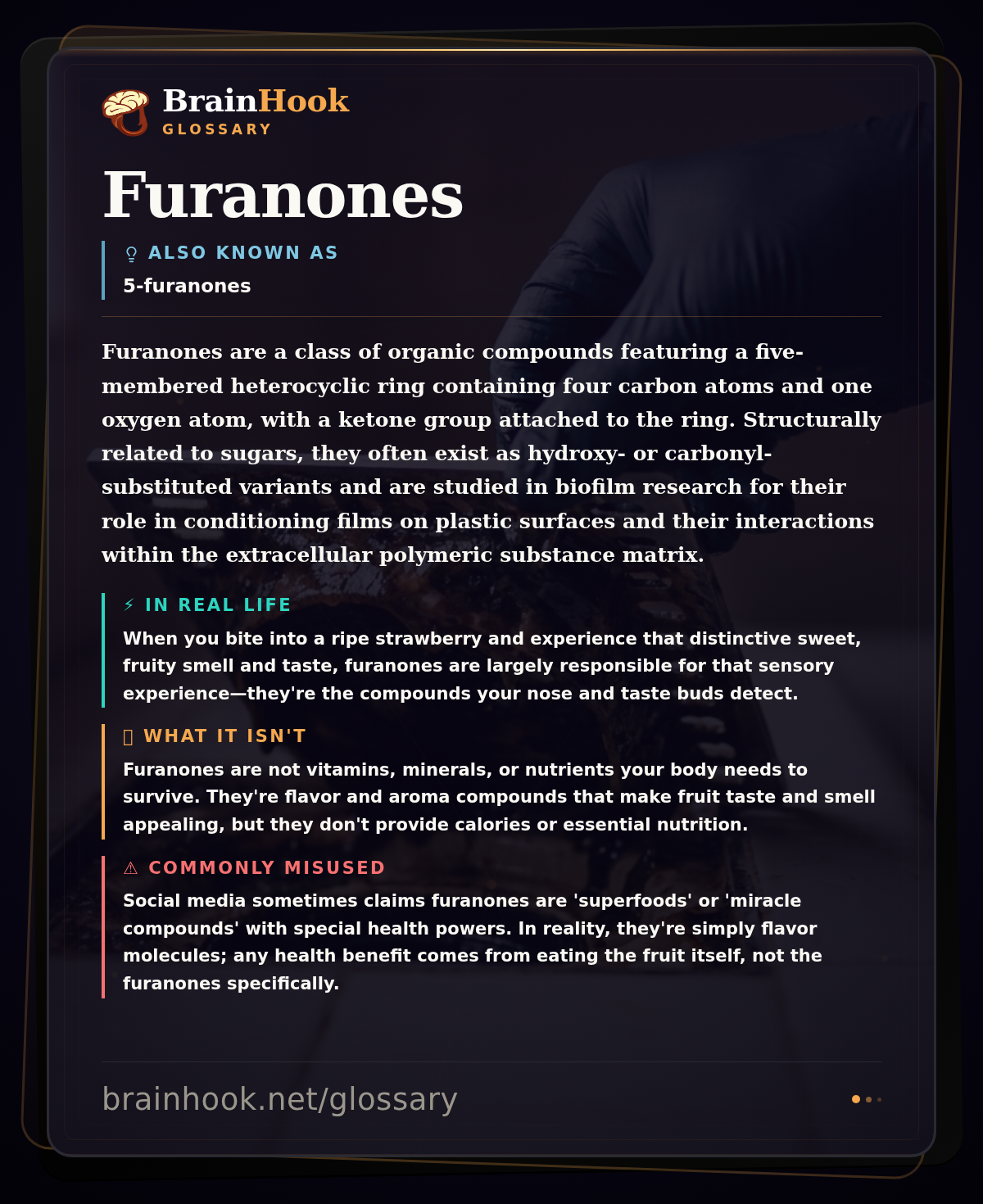 Furanones — BrainHook Glossary card