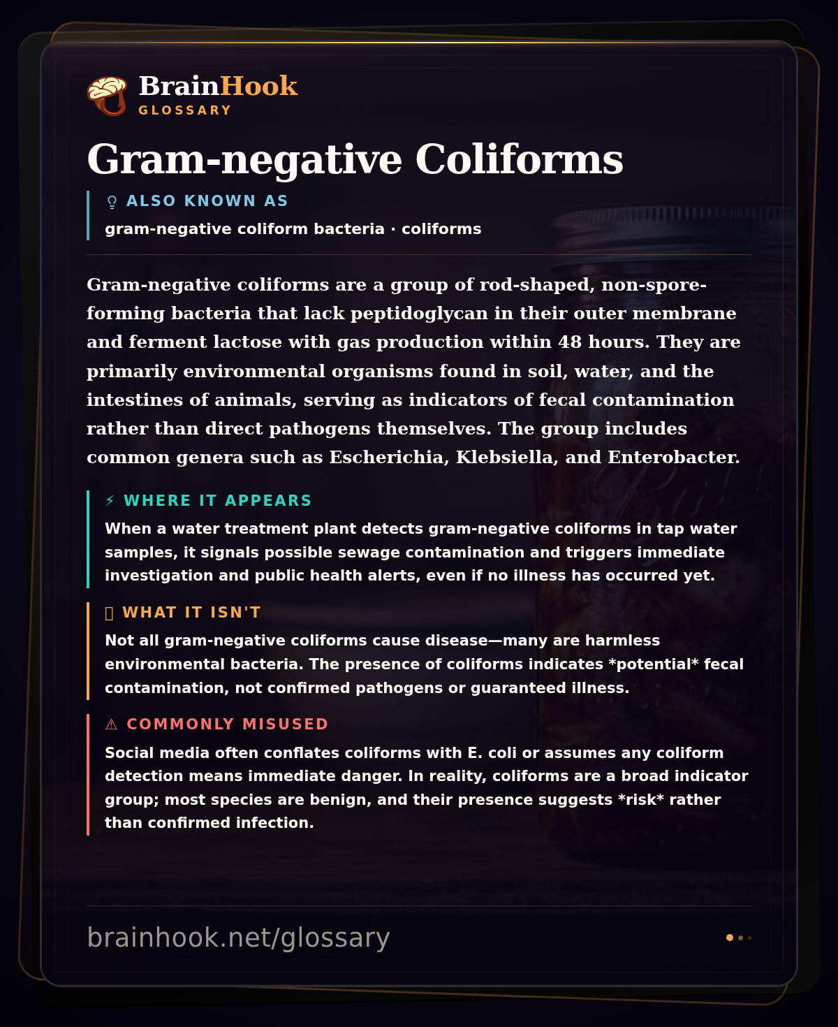 Gram-negative Coliforms — BrainHook Glossary card