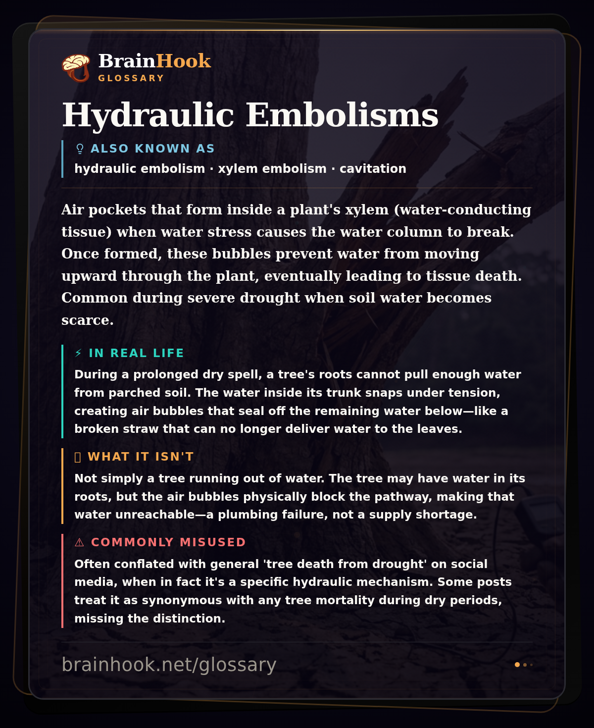 Hydraulic Embolisms — BrainHook Glossary card
