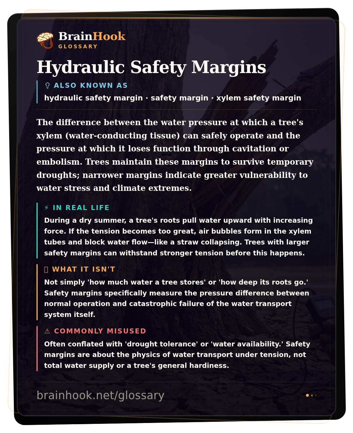 Hydraulic Safety Margins — BrainHook Glossary card