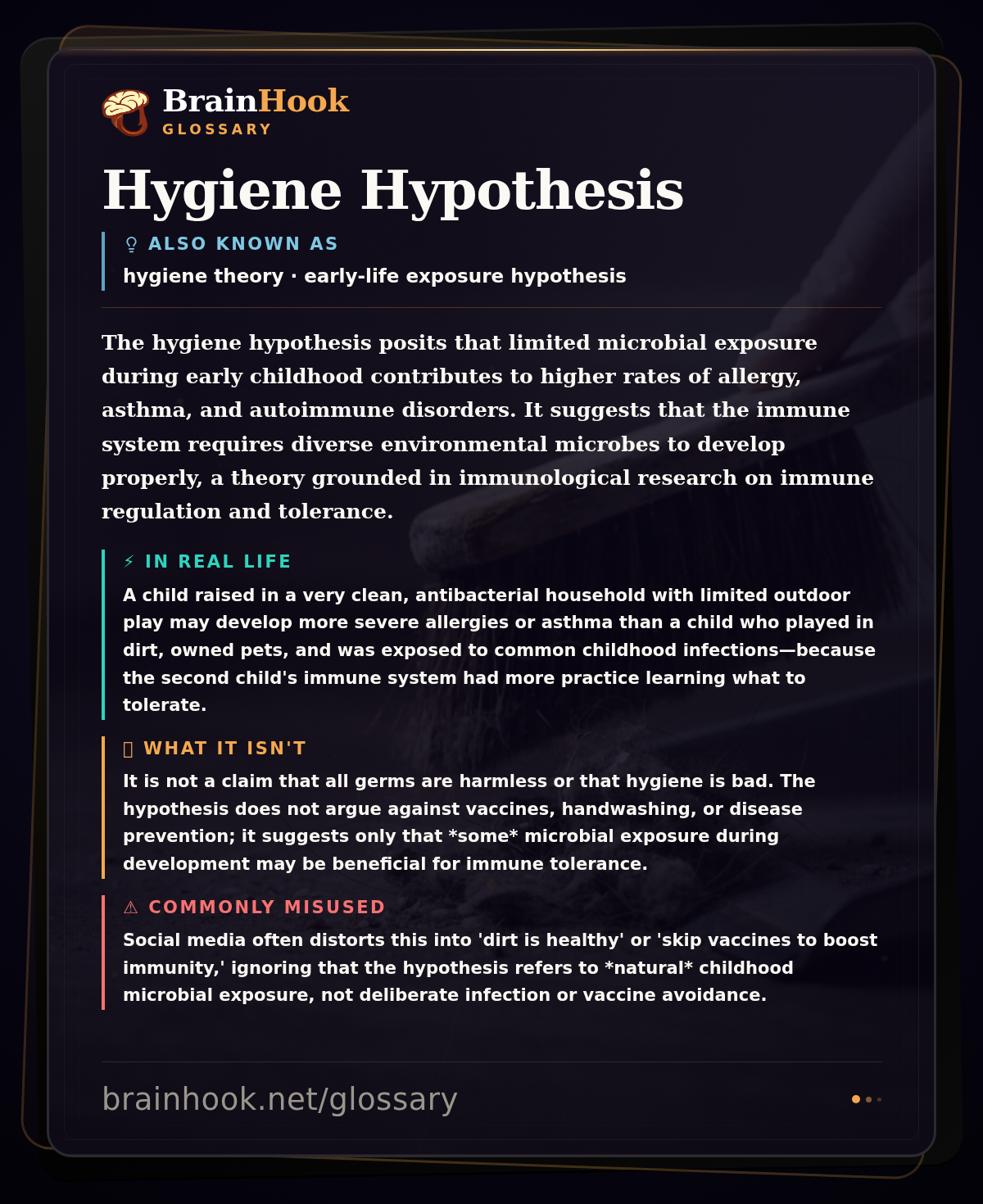 Hygiene Hypothesis — BrainHook Glossary card