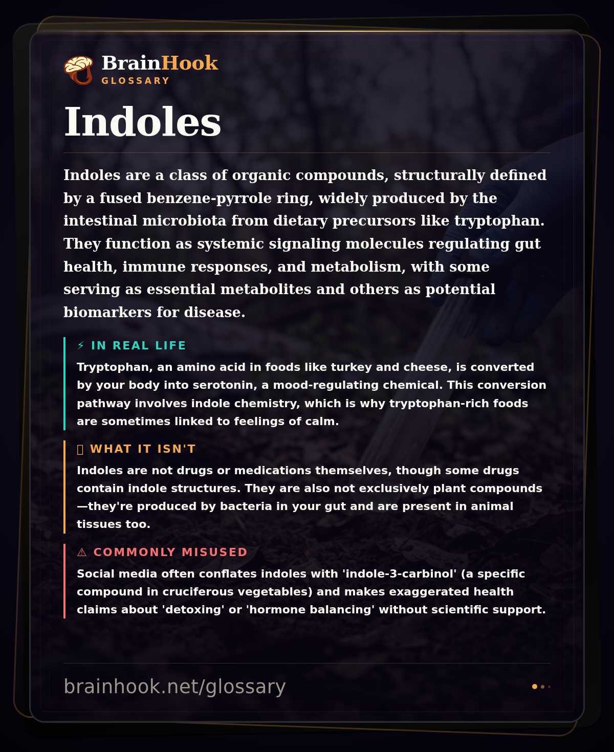 Indoles — BrainHook Glossary card