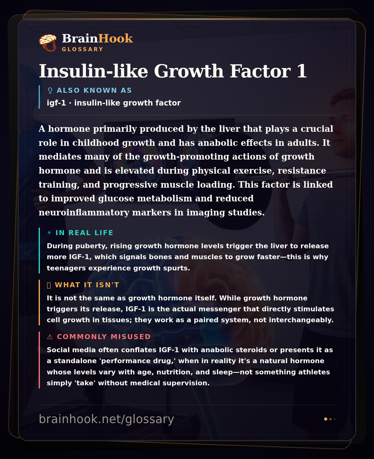 Insulin-like Growth Factor 1 — BrainHook Glossary card