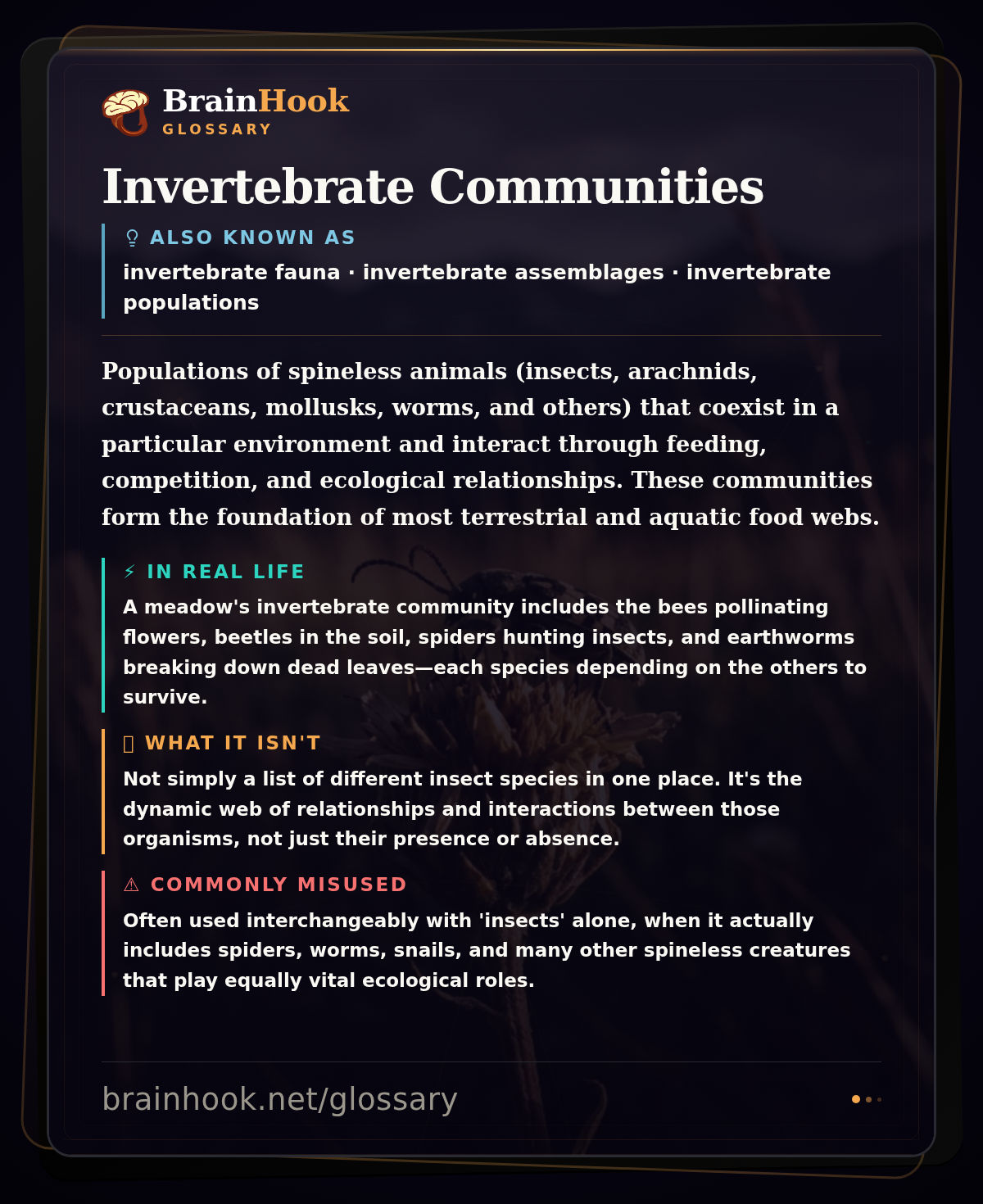 Invertebrate Communities — BrainHook Glossary card
