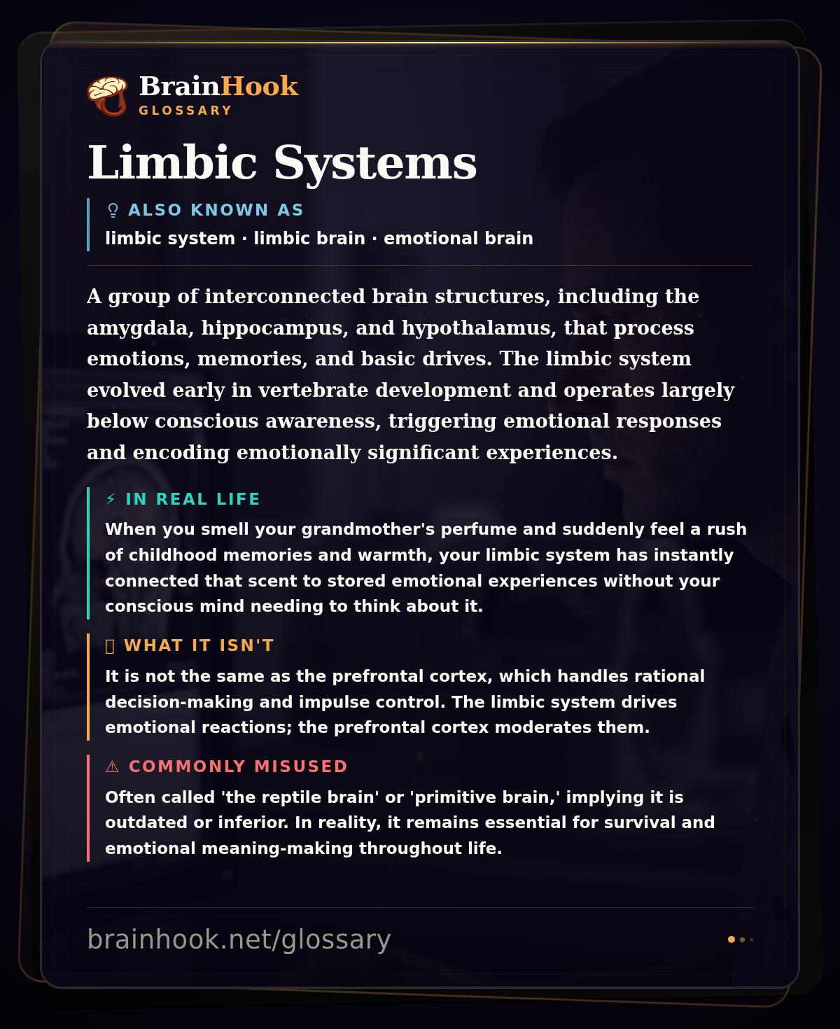Limbic Systems — BrainHook Glossary card