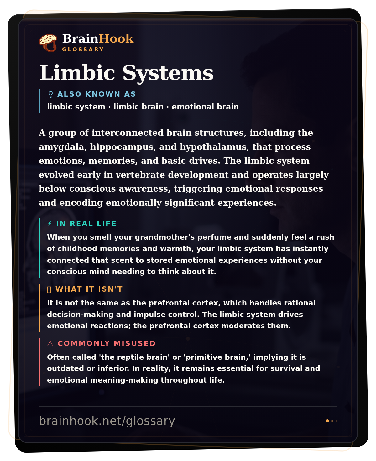 Limbic Systems — BrainHook Glossary card