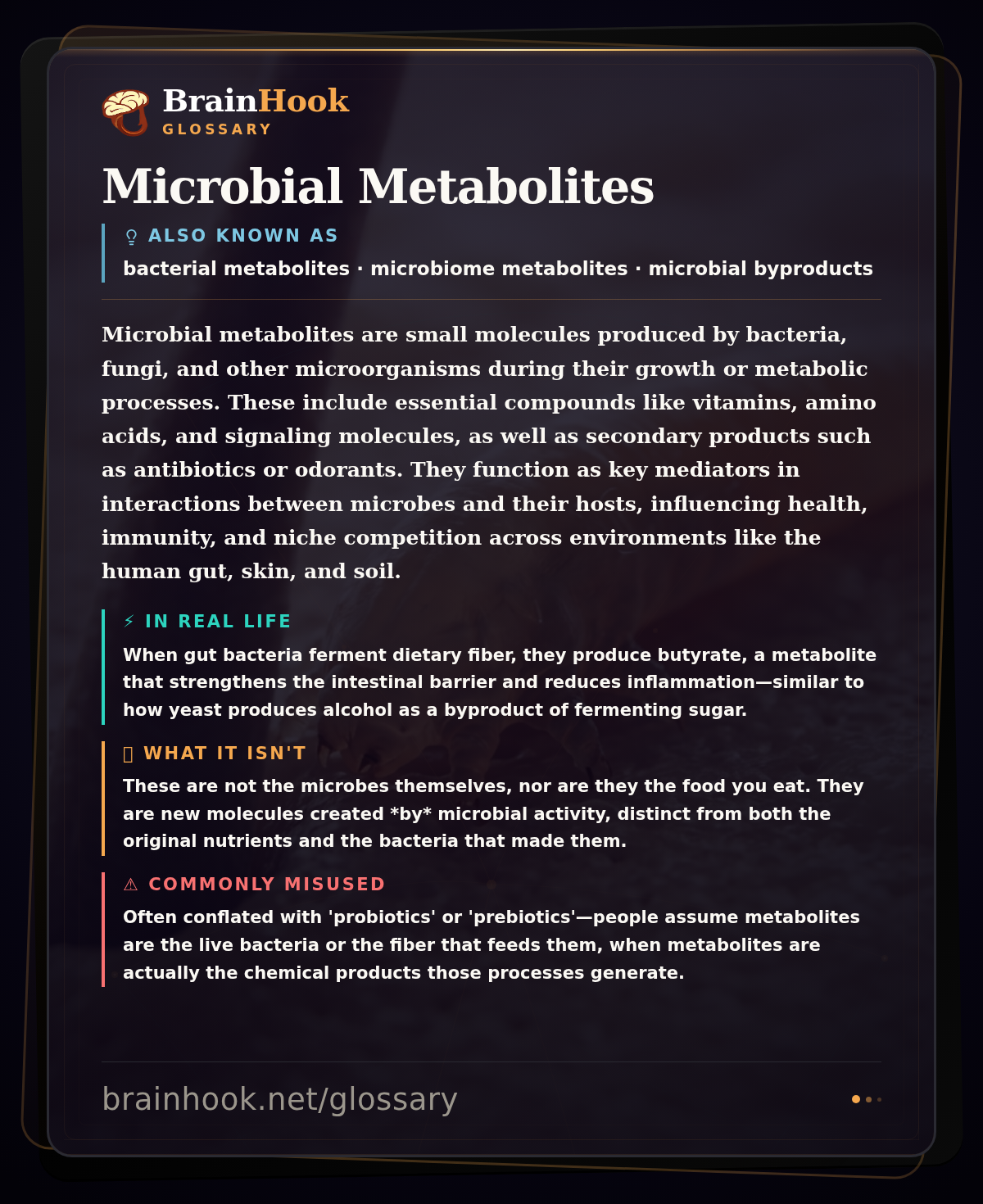 Microbial Metabolites — BrainHook Glossary card
