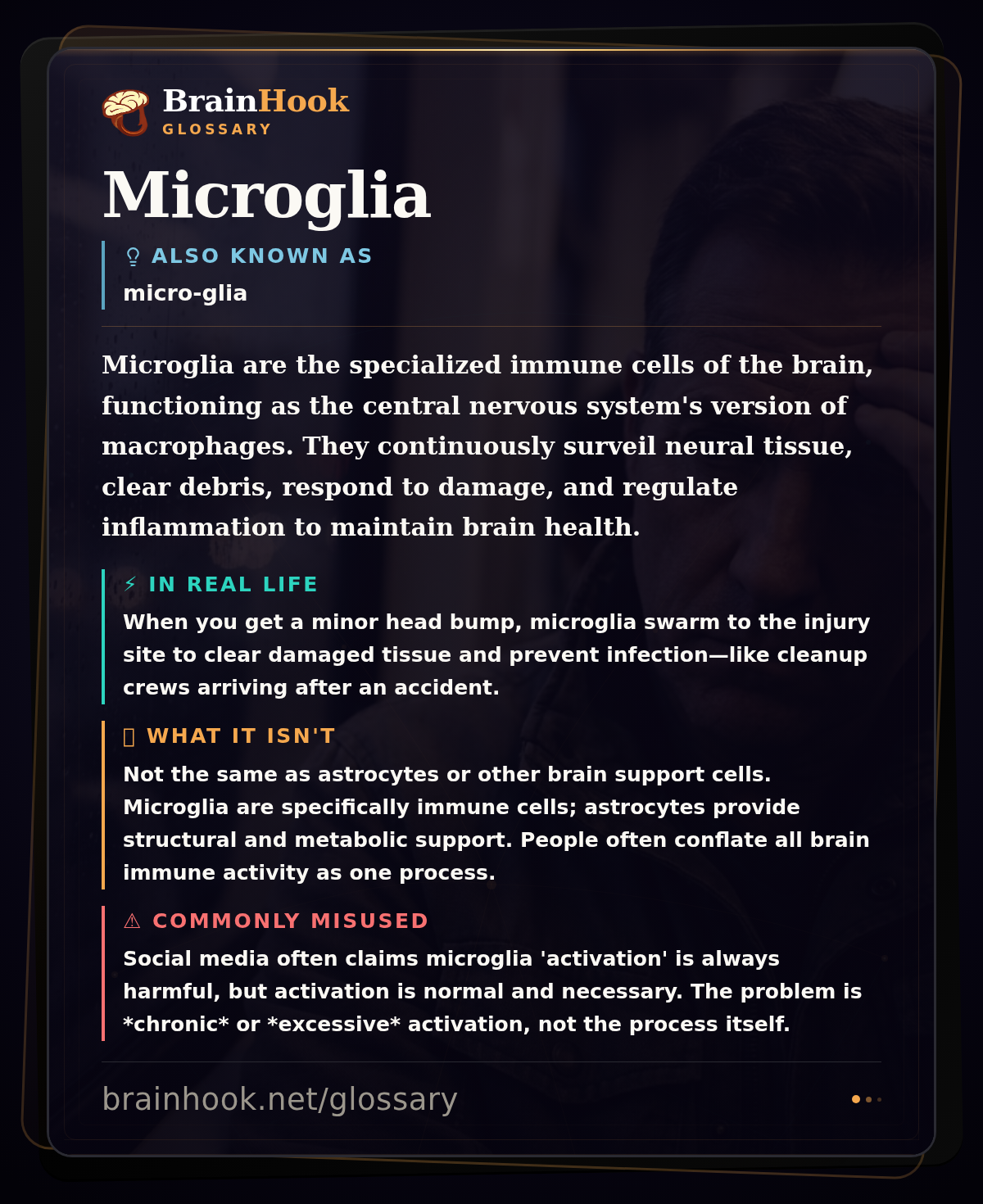 Microglia — BrainHook Glossary card