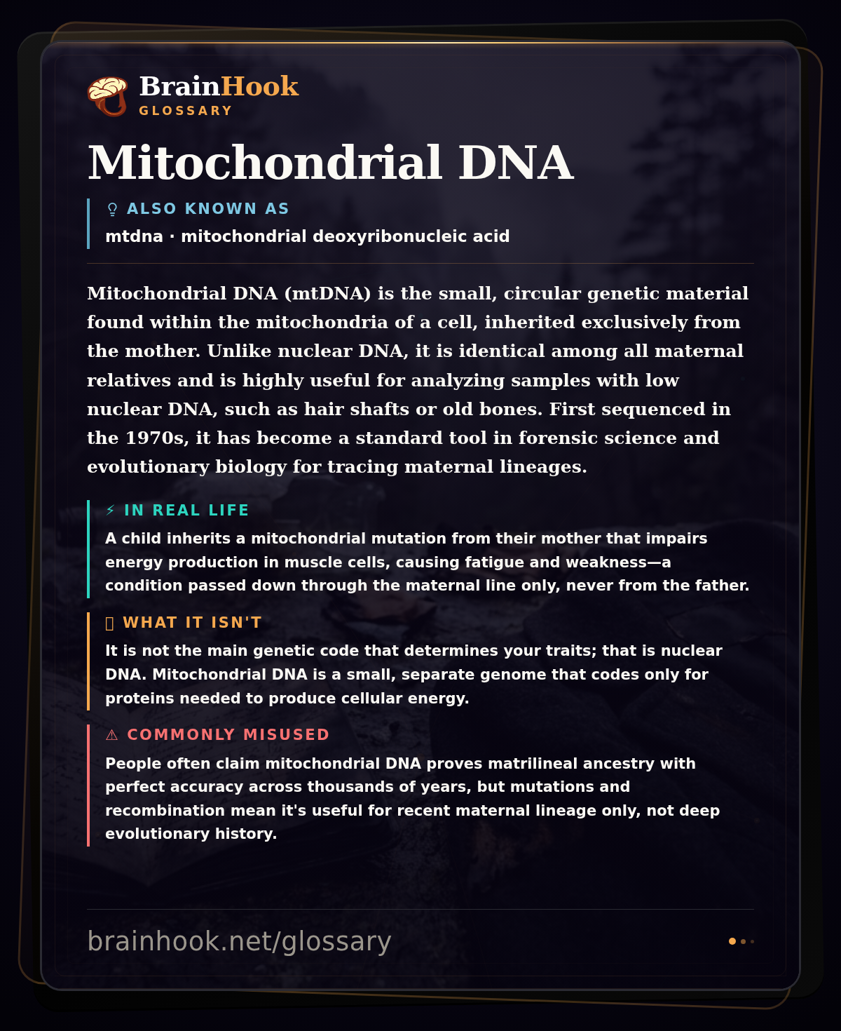 Mitochondrial DNA — BrainHook Glossary card