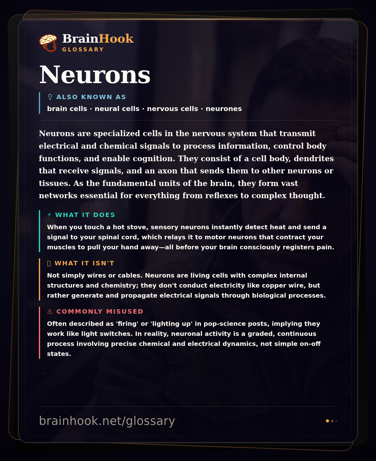 Neurons — BrainHook Glossary card