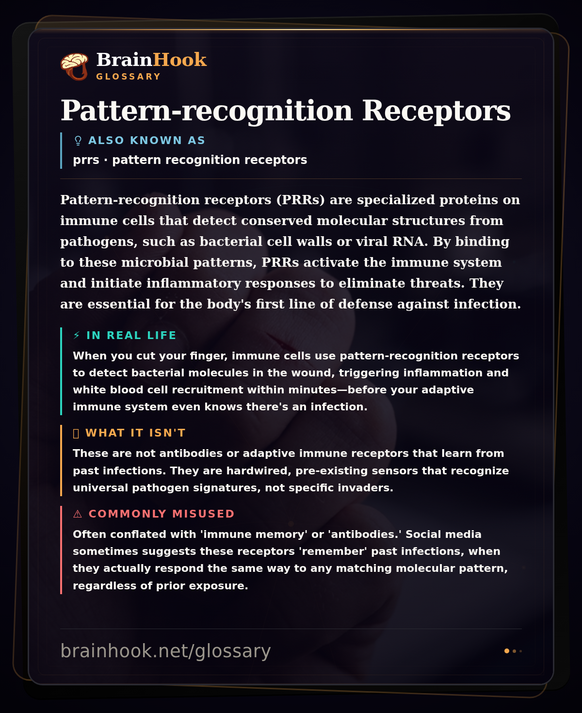 Pattern-recognition Receptors — BrainHook Glossary card