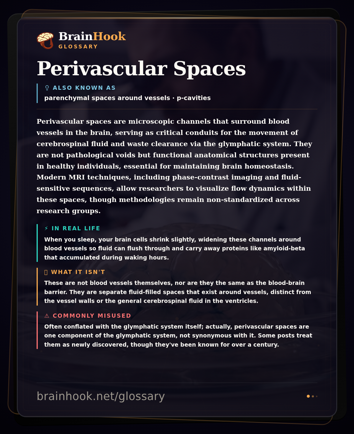 Perivascular Spaces — BrainHook Glossary card