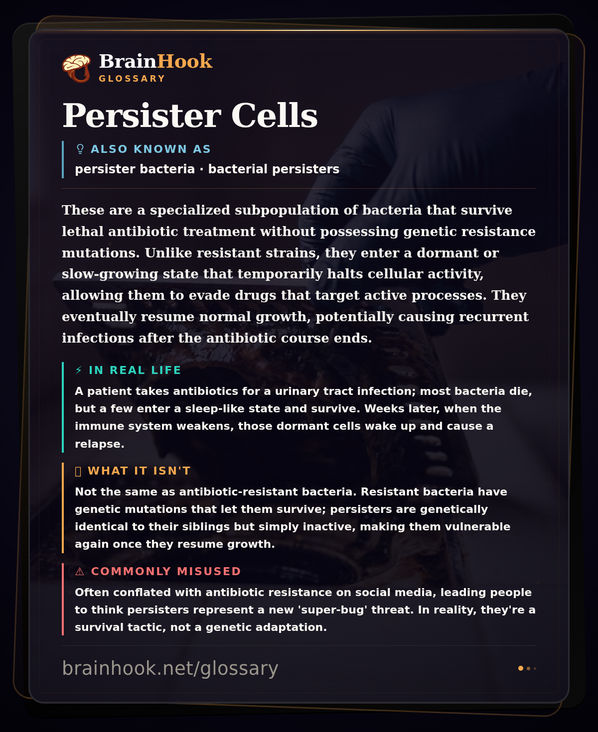 Persister Cells — BrainHook Glossary card