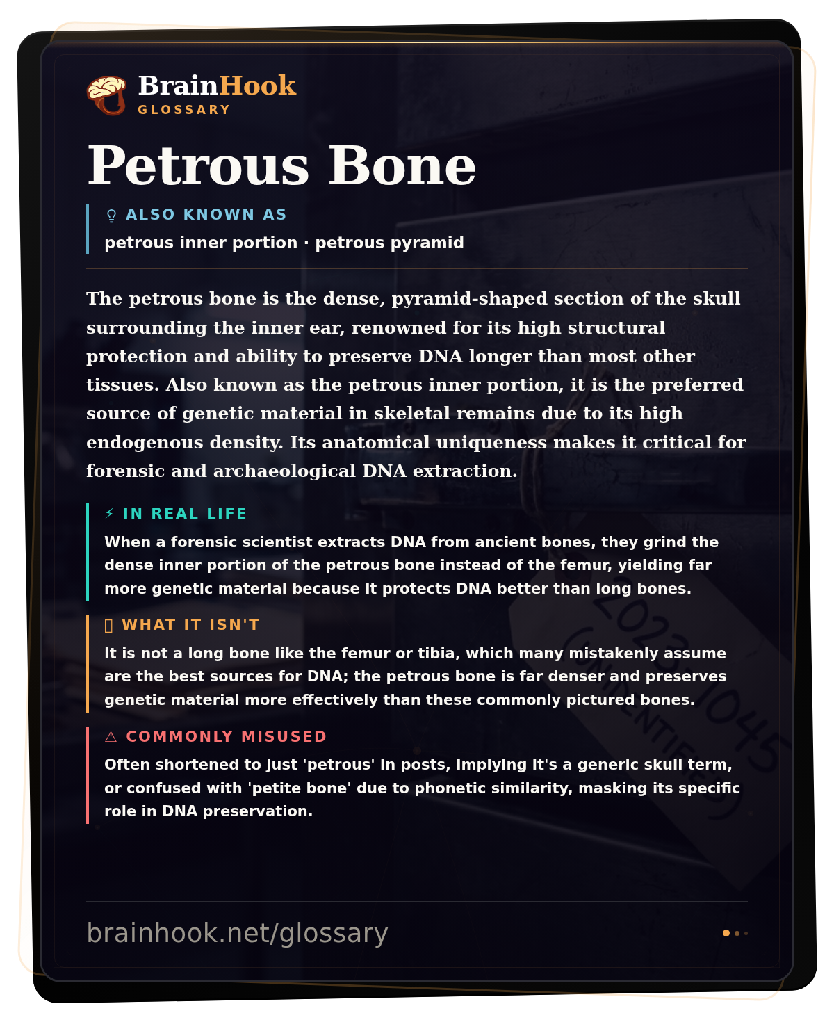 Petrous Bone — BrainHook Glossary card