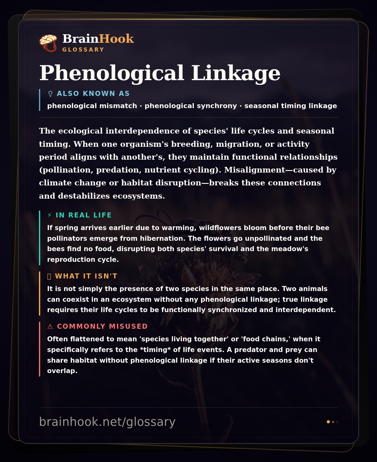 Phenological Linkage — BrainHook Glossary card