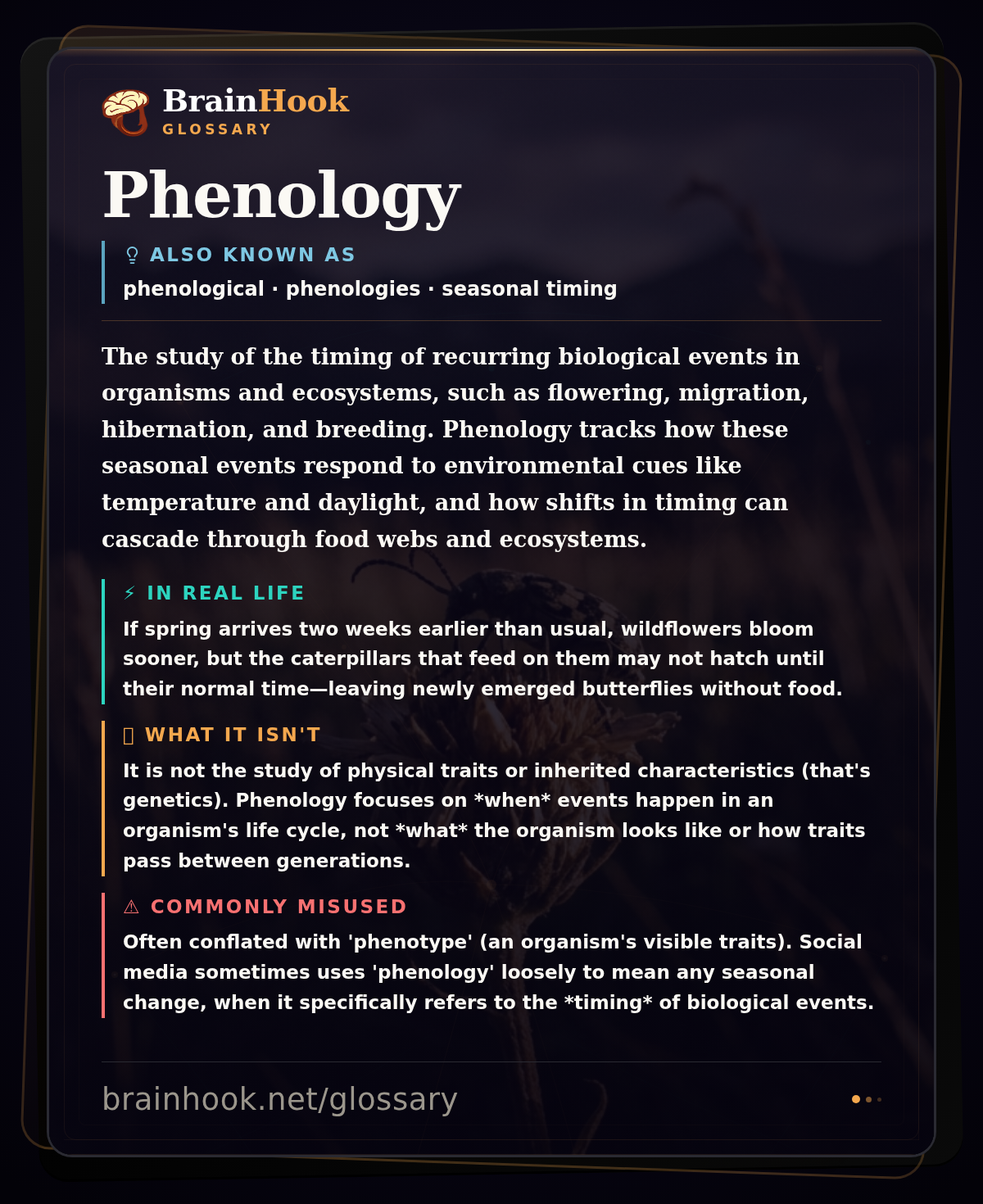 Phenology — BrainHook Glossary card