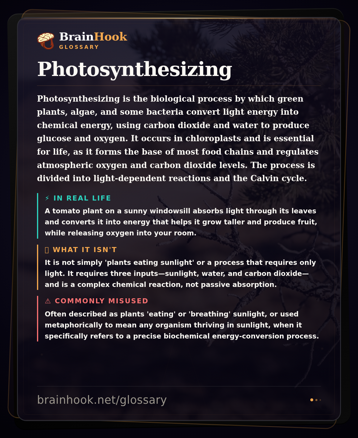 Photosynthesizing — BrainHook Glossary card